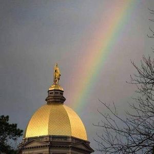 Meet your Posher, Rick